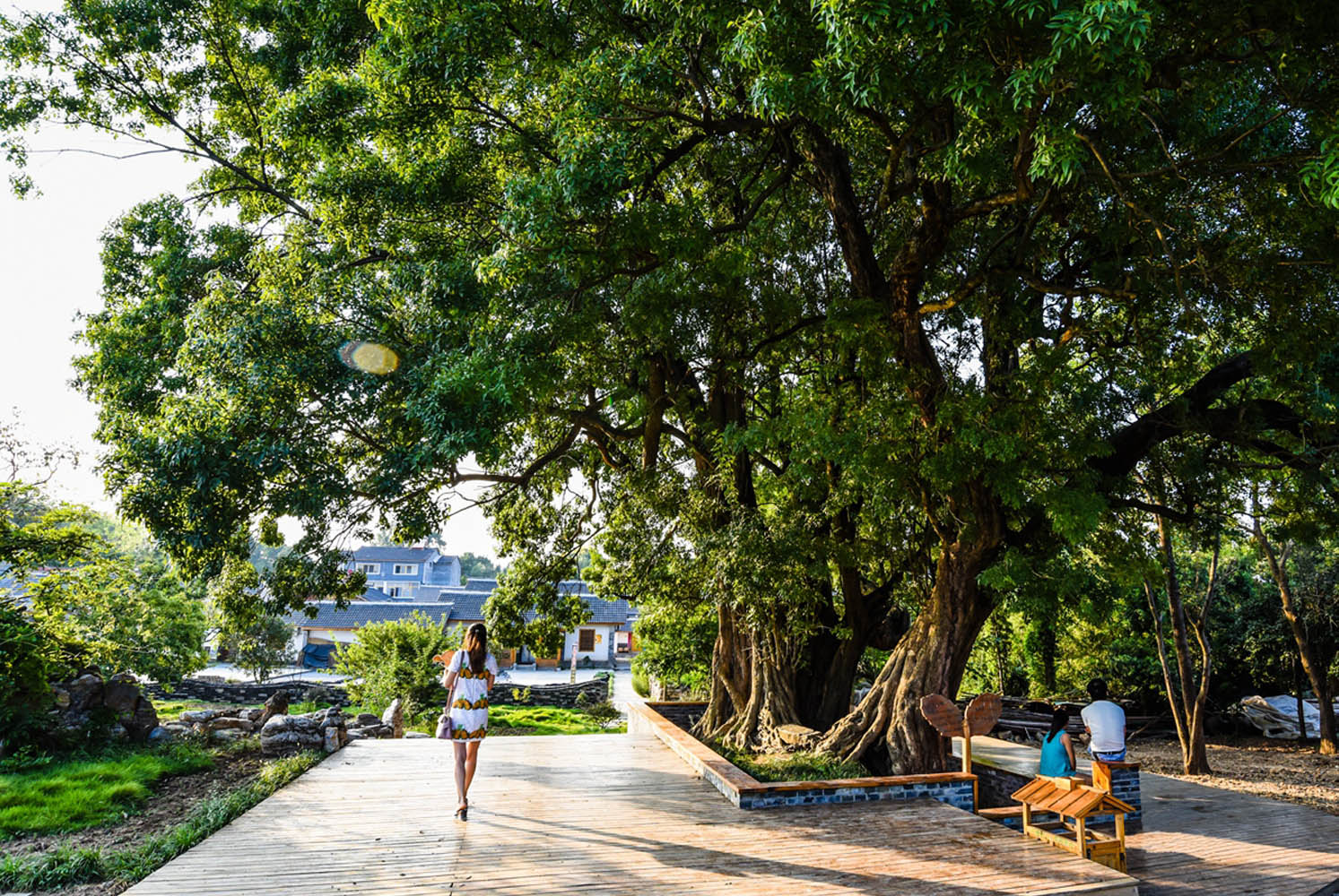 美丽乡村休闲区设计