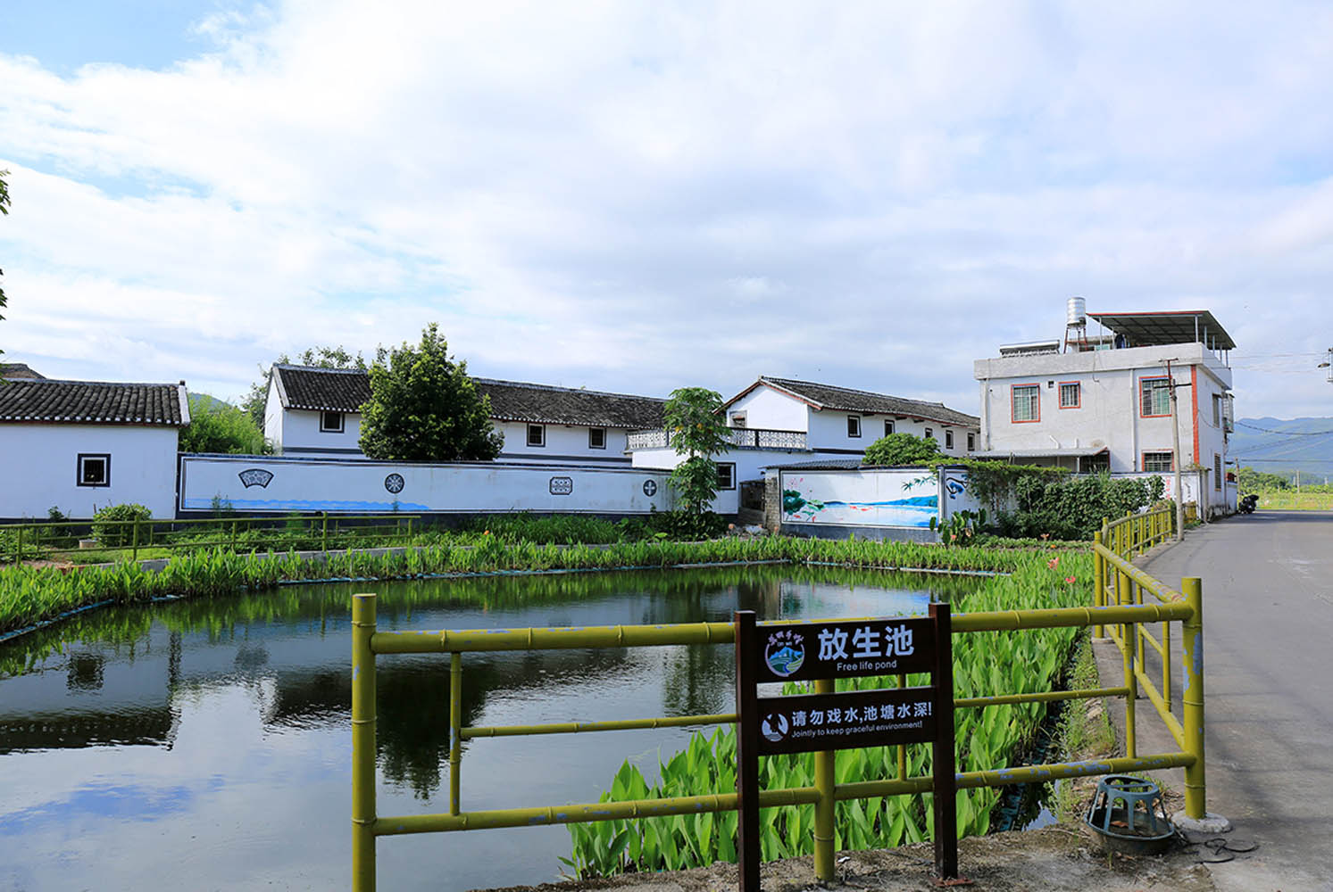 美丽乡村水产区规划设计