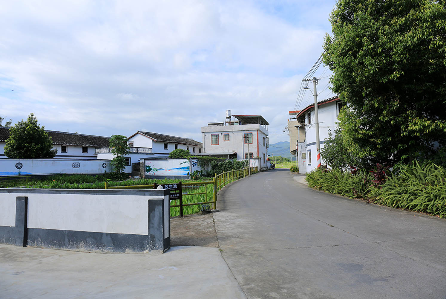 美丽乡村道路规划设计